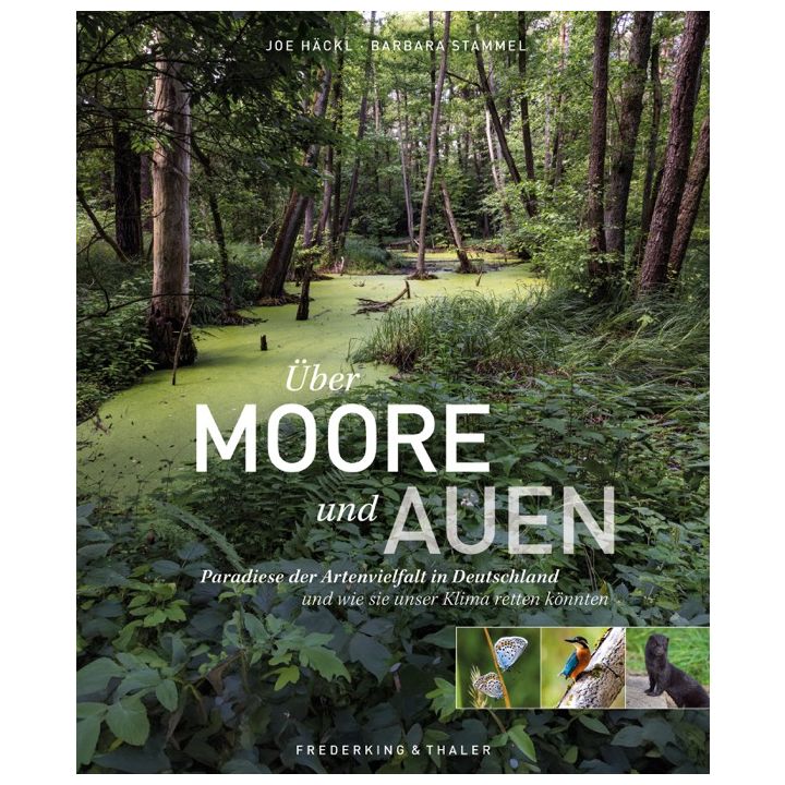 Über Moore und Auen