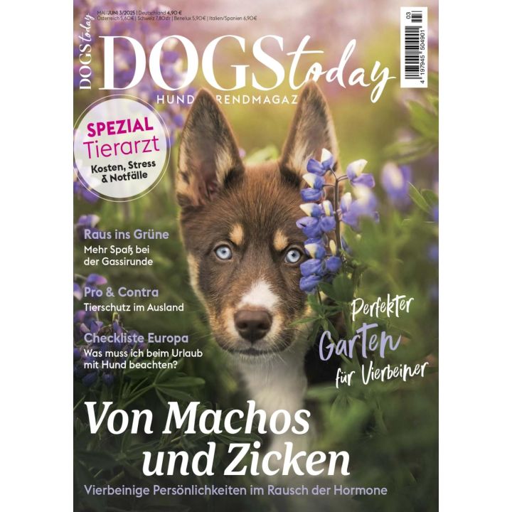 Dogs Today 3/2025