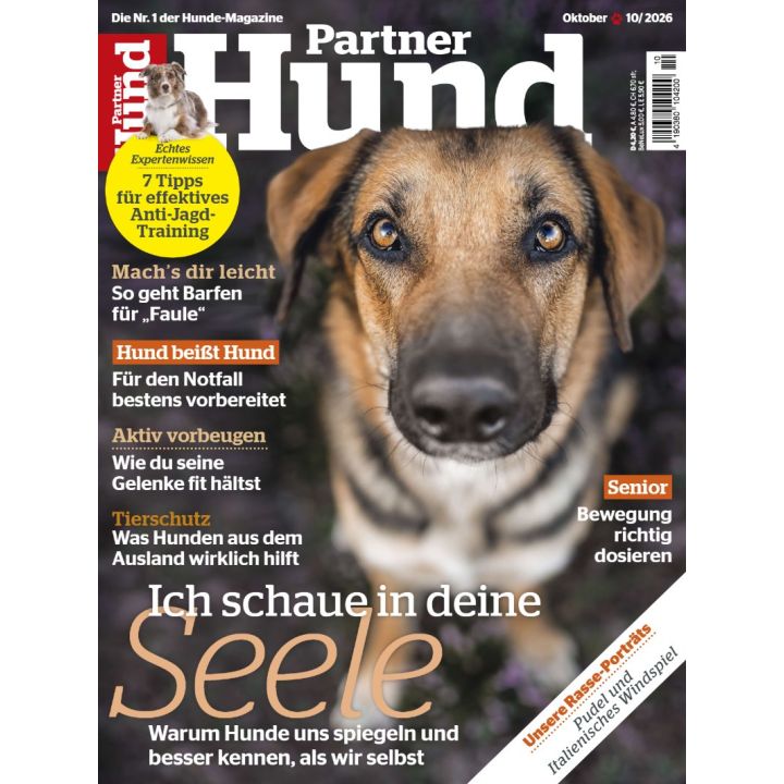 Partner Hund 10/2026