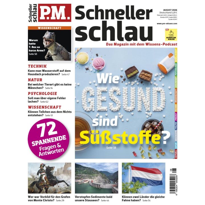 PM Schneller Schlau 8/2026