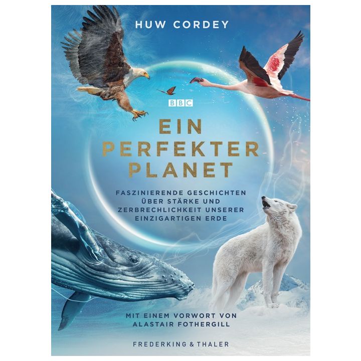 Ein perfekter Planet