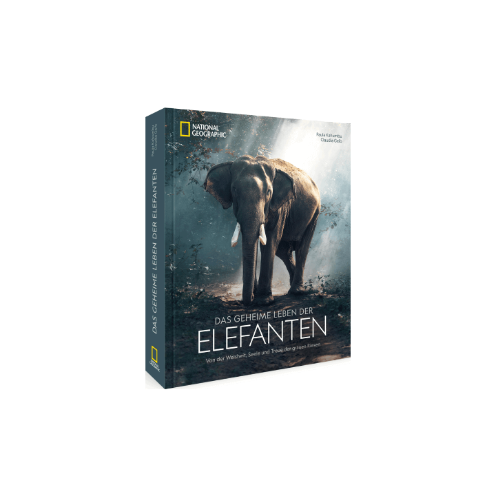Das geheime Leben der Elefanten
