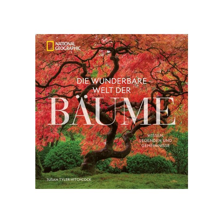 Die wunderbare Welt der Bäume