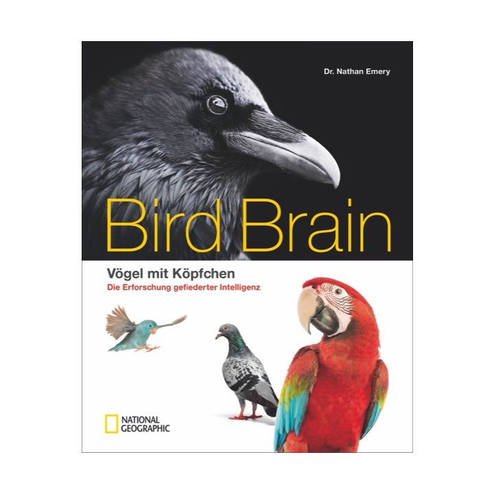 Bird Brain