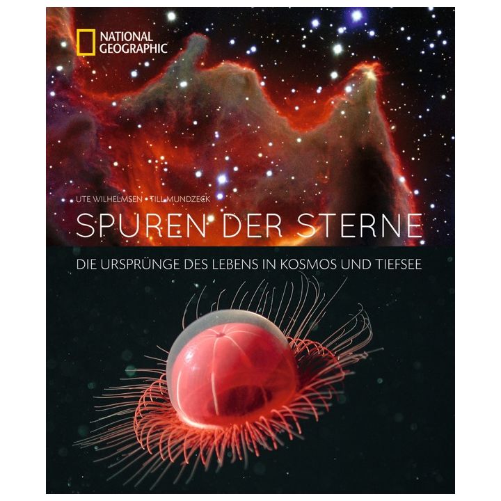 Spuren der Sterne