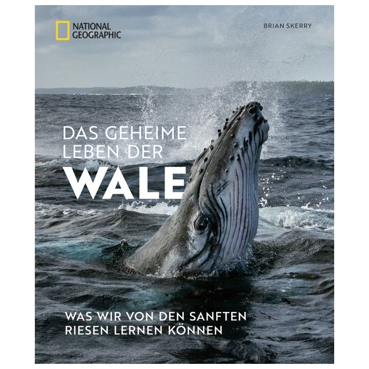 Das geheime Leben der Wale