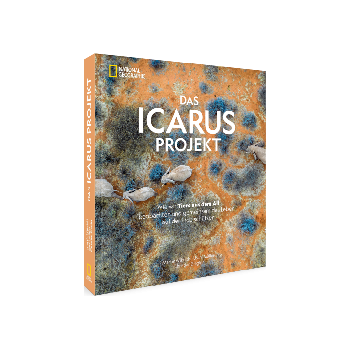 Das ICARUS Projekt