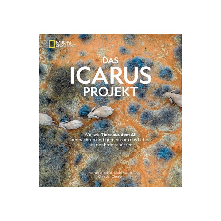 Das ICARUS Projekt