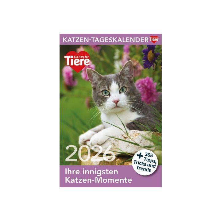 Katzen Tageskalender 2026