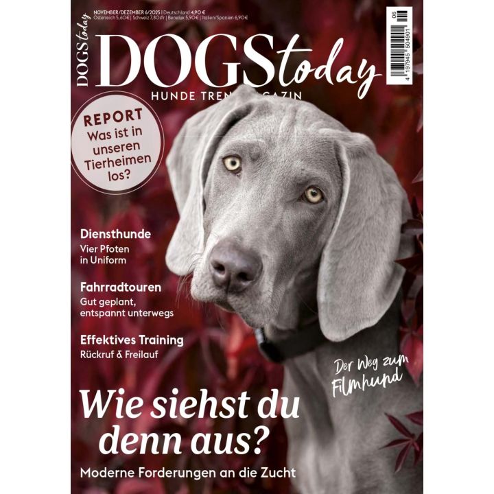 DogsTtoday 6/2025