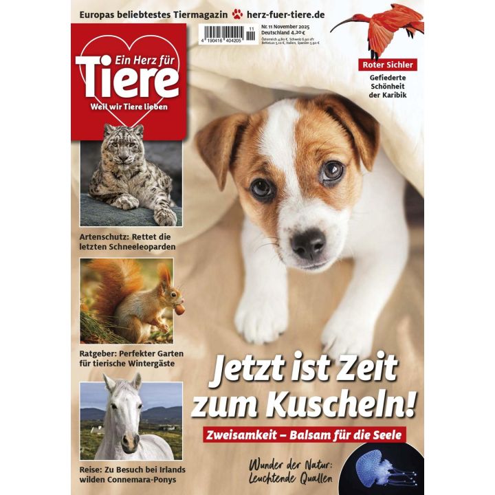 Ein Herz f&uuml;r Tiere 11/2025
