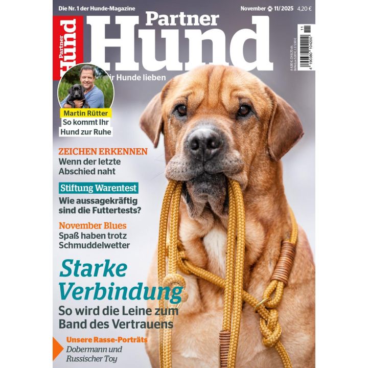 Partner Hund 11/2025