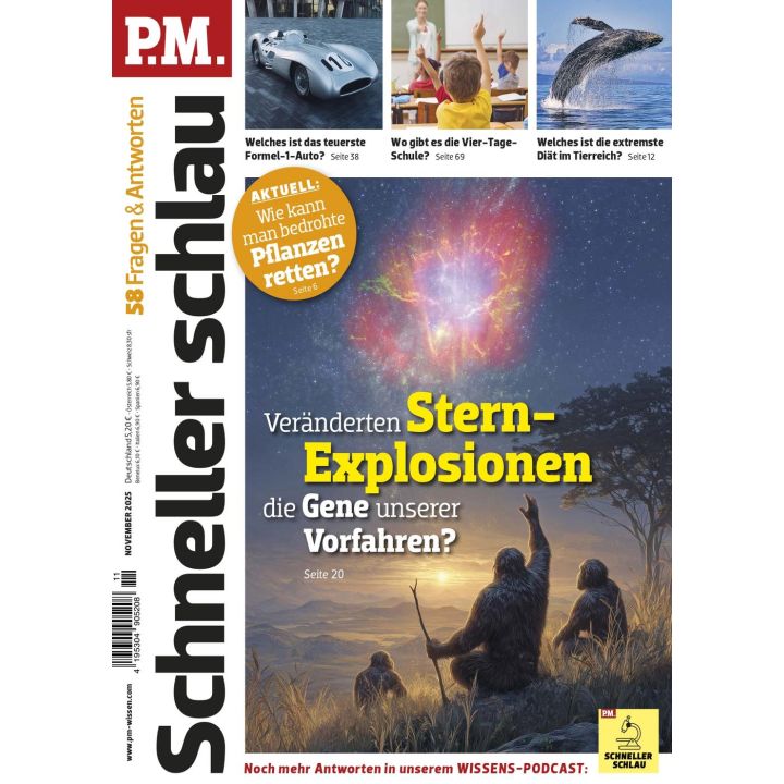 P.M. Logik Trainer 2025/11