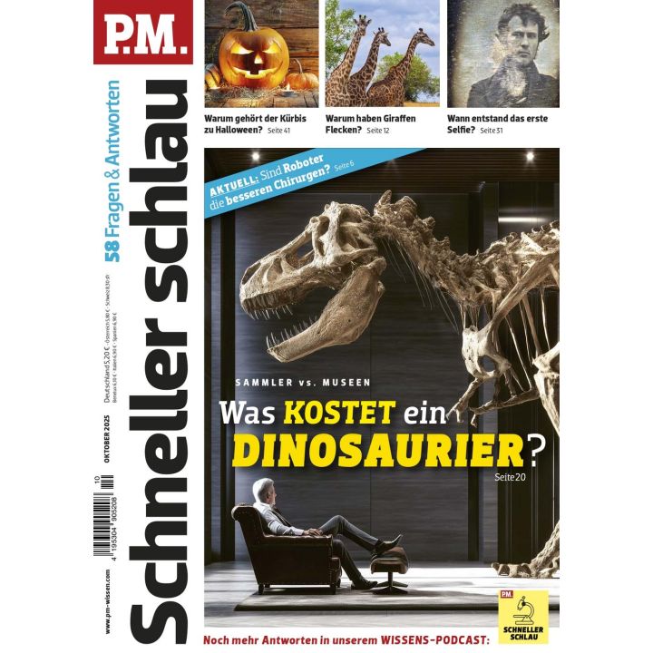 PM Schnell Schlau 10/2025