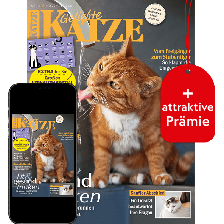 Geliebte Katze Testabo &bdquo;Plus&ldquo; mit Geschenk f&uuml;r Sie