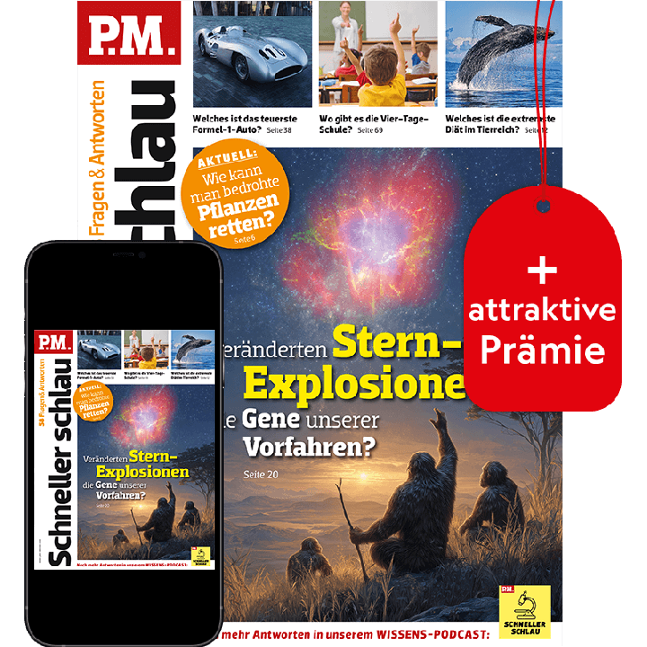 P.M. Schneller schlau Testabo &bdquo;Plus&ldquo; mit Geschenk f&uuml;r Sie