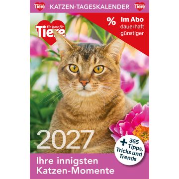 Katzen Tageskalender Sparabo