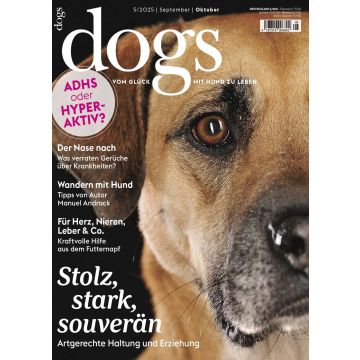 Dogs 5/2025