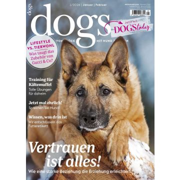 Dogs 1/2026