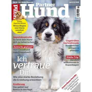 Partner Hund 6/2026