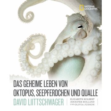 Das geheime Leben von Oktopus, Seepferdchen und Qualle