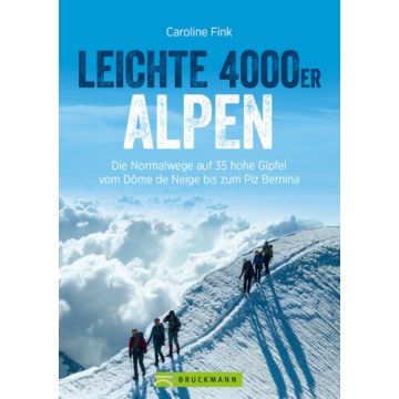 Leichte 4000er Alpen