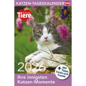 Katzen Tageskalender 2026