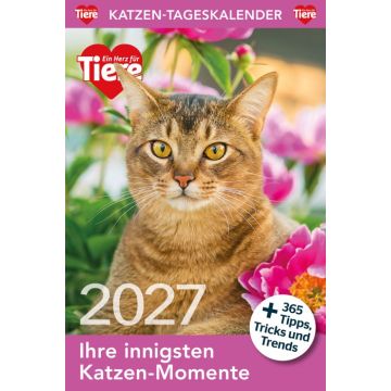 Katzen Tageskalender 2027