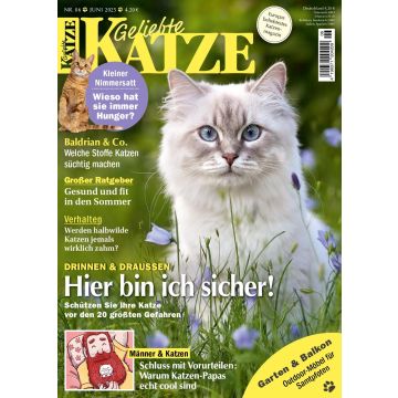 Geliebte Katze 6/2025