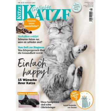 Geliebte Katze 8/2025