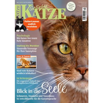 Geliebte Katze 9/2025