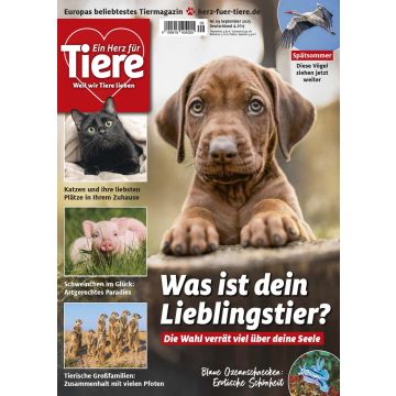 Ein Herz für Tiere 9/2025