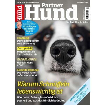 Partner Hund 3/2026