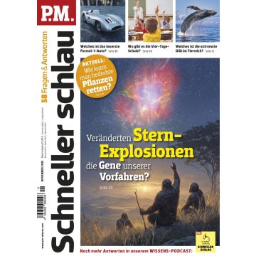 P.M. Logik Trainer 2025/11