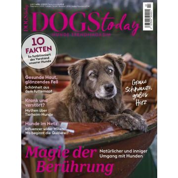 Dogs Today zum Testen