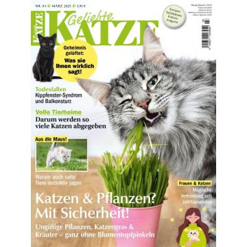 Geliebte Katze Upgrade für Printabonnenten