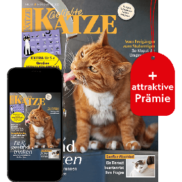 Geliebte Katze Vorteilsabo „Plus“ mit Prämie