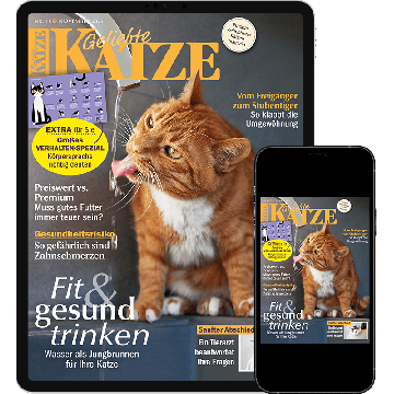Geliebte Katze Testabo „Einstieg-Digital“ – E-Paper