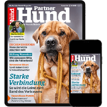 Partner Hund Testabo „Einstieg-Digital“ – E-Paper